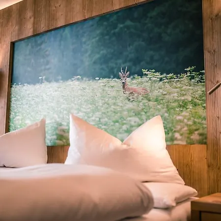 Hotel Jaegerhof 3*